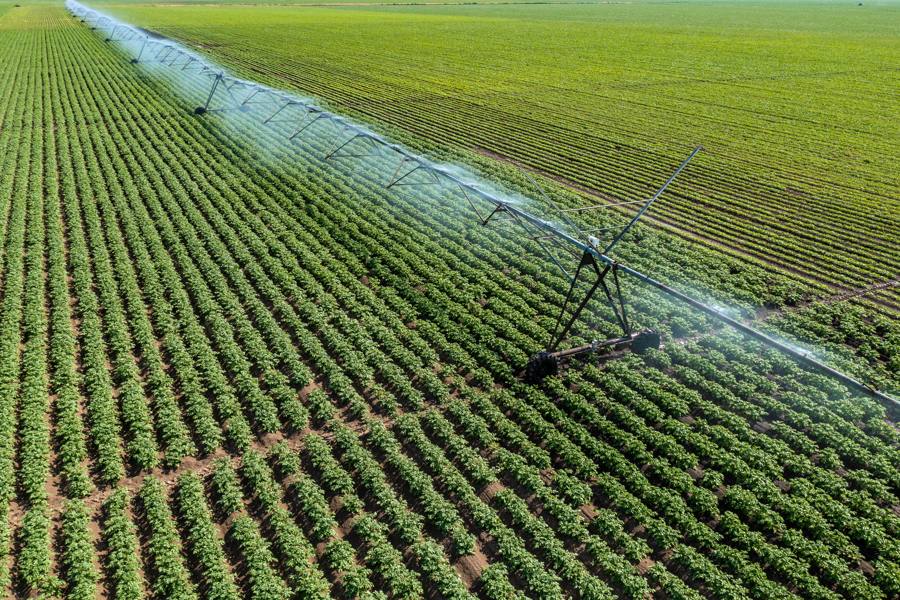 Irrigation system watering crop fields